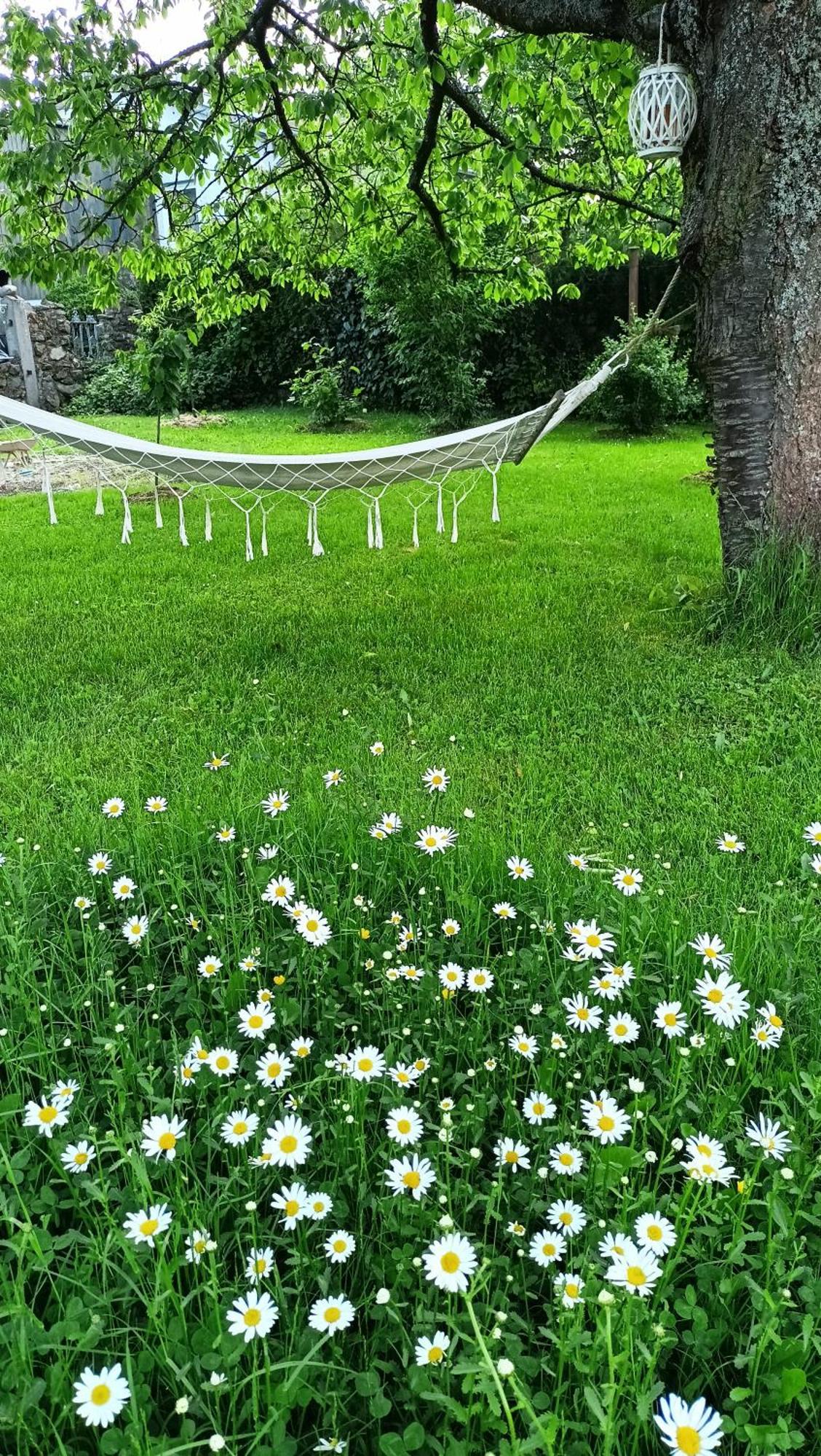 Penzion Villa Marion Mariënbad Buitenkant foto
