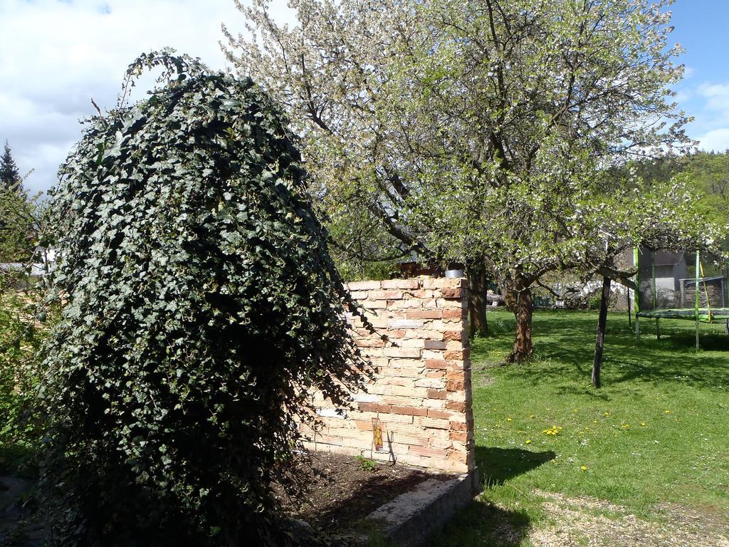 Penzion Villa Marion Mariënbad Buitenkant foto